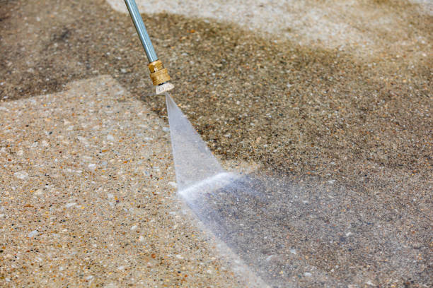 Best Animal Enclosure Cleaning  in Mascotte, FL